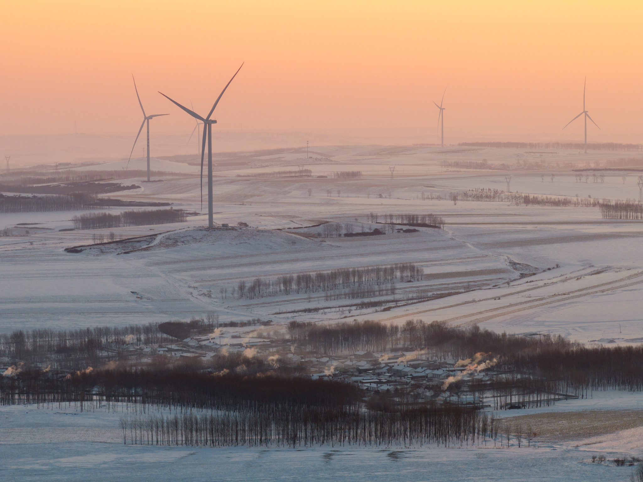 DJI_20250122073554_0632_D.jpg