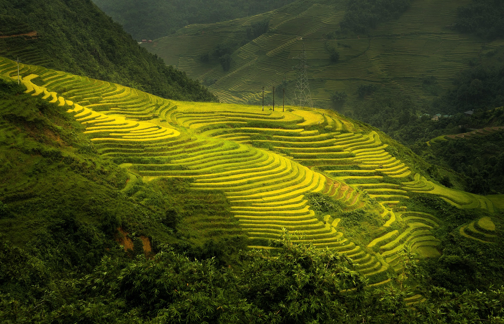 trinhxuandaonature448234919201.jpg